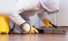 Best Residential Pest Control  in Gueydan, LA